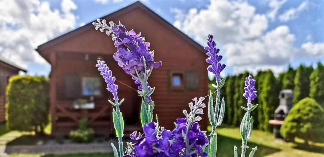 Domki Letniskowe Lawenda Rusinowo  Exterior foto